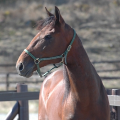 Random Shot 150415-10